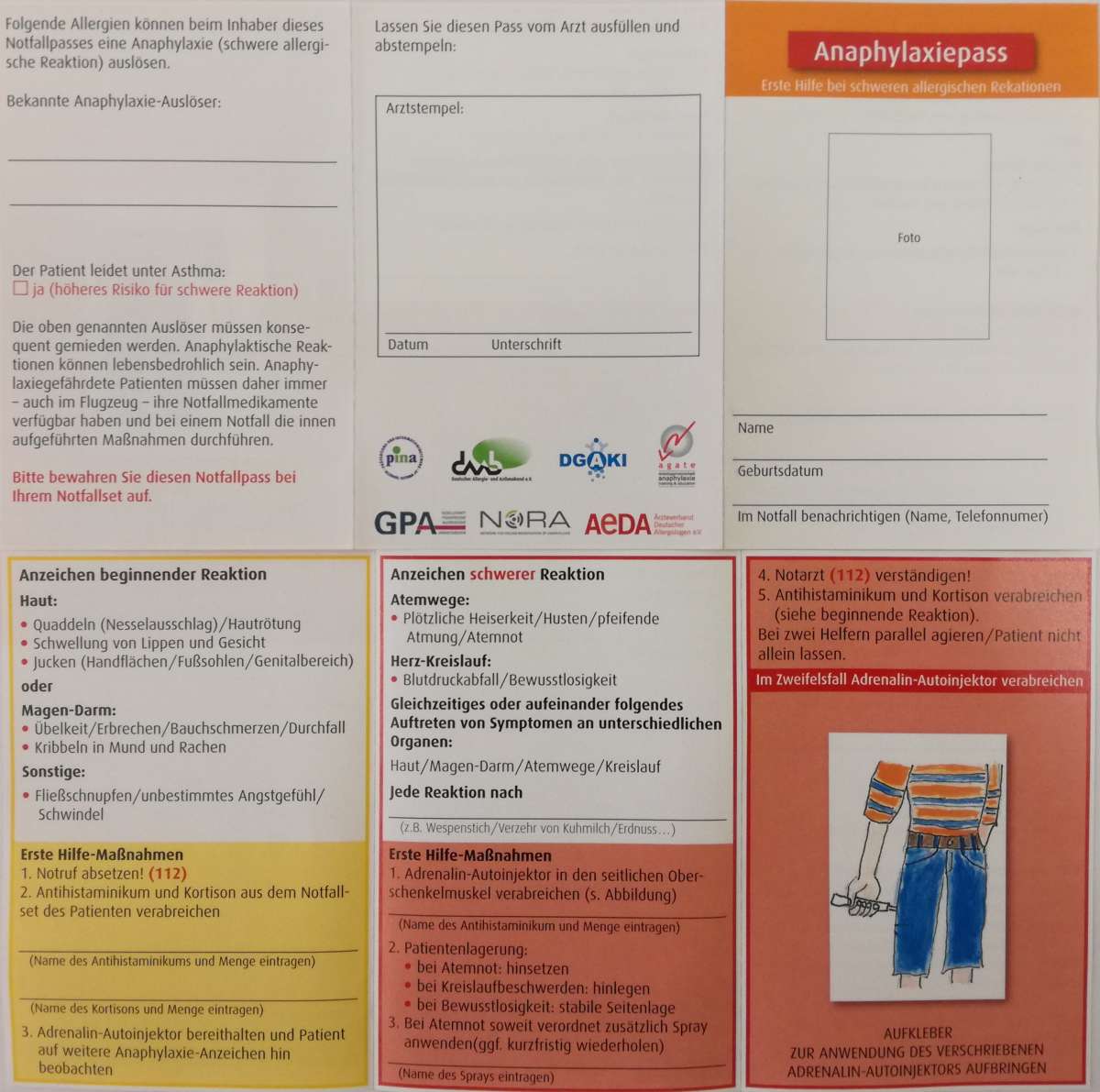 Anaphylaxiepass 10 Stück | Ratgeber | DAAB-Shop